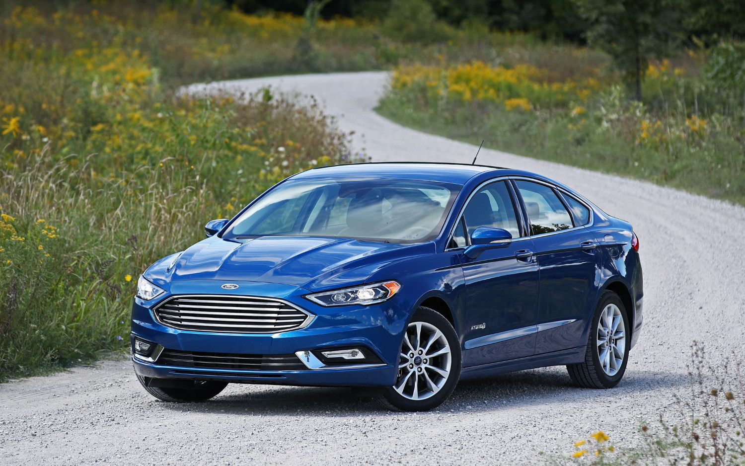 Ford fusion platinum